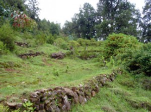 Ein Weltwärts Freiwilligendienst Äthiopien führt Dich in die Natur